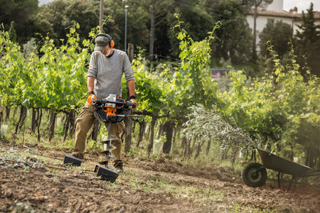 Profesjonalny świder z silnikiem BT 131 STIHL