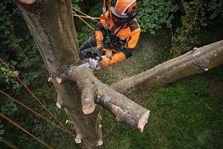 Pilarka akumulatorowa MSA 220.0 TC-O, STIHL 35/14" 3/8"