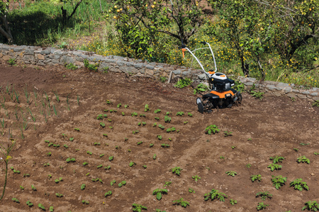 Glebogryzarka spalinowa MH 685 STIHL